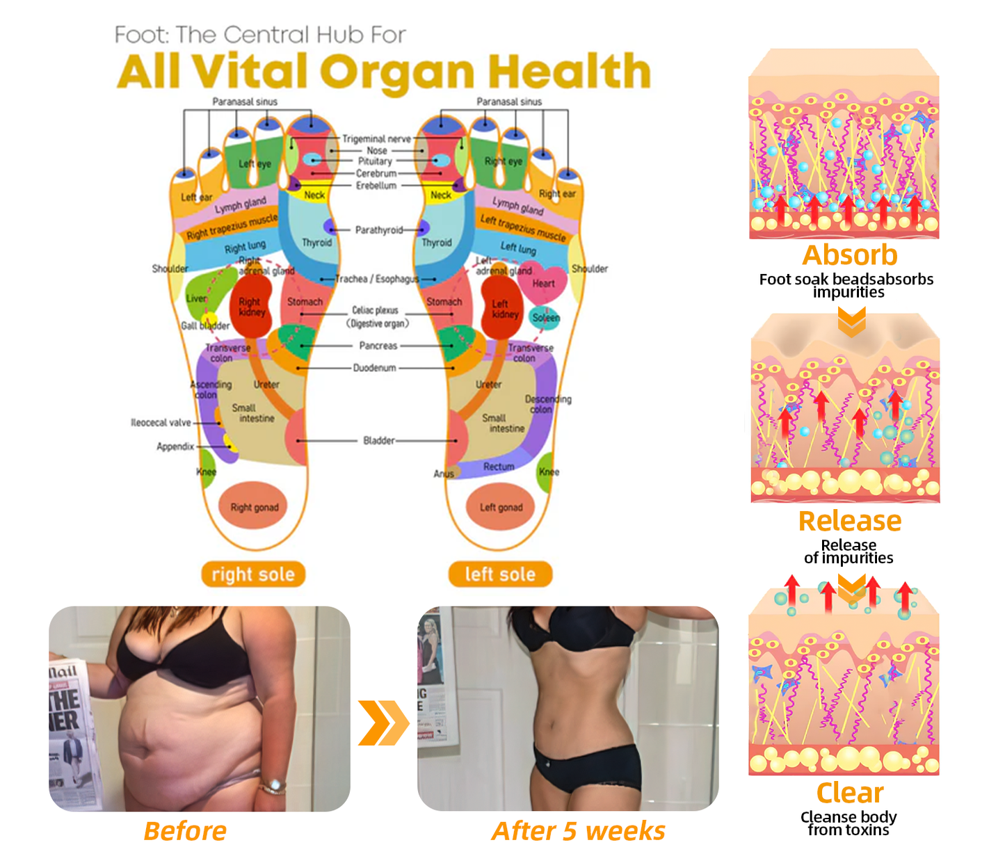 INSIDEEFYโข 30-Herb Slimming & Detox Foot Bath Beads-๐ฆต๐ฉโโ๏ธ(LANA Certification, Lymphatic Association of America)