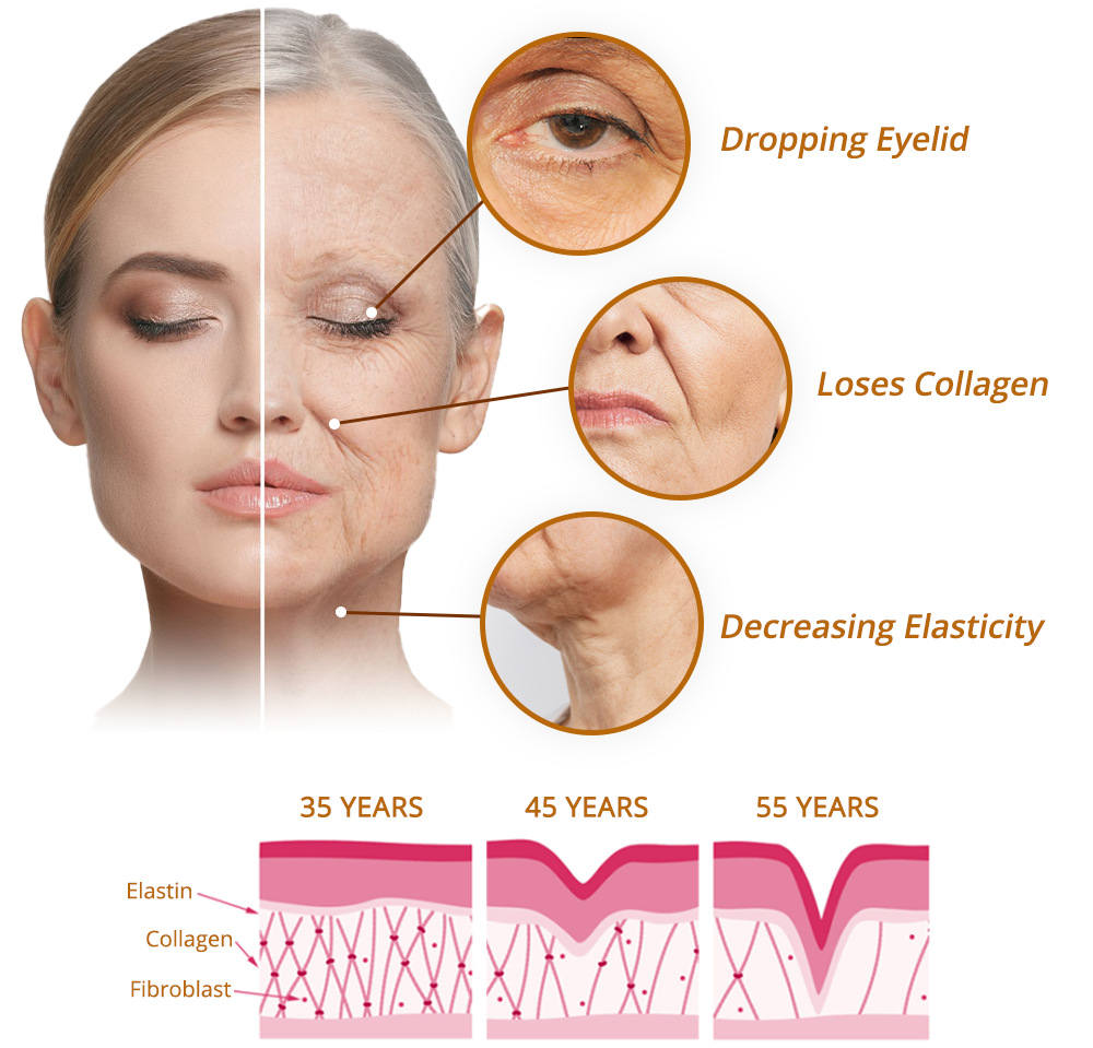 🔥LAST DAY SALE-80% OFF)Insideefy™ Cordyceps Firming Repair Serum