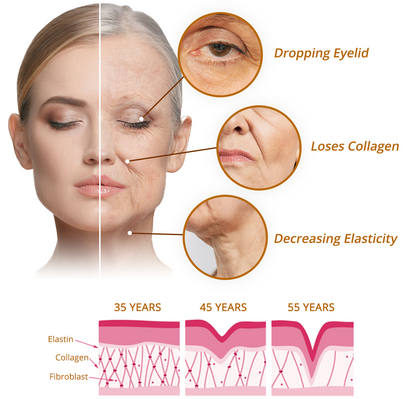 🔥LAST DAY SALE-80% OFF)Insideefy™ Cordyceps Firming Repair Serum